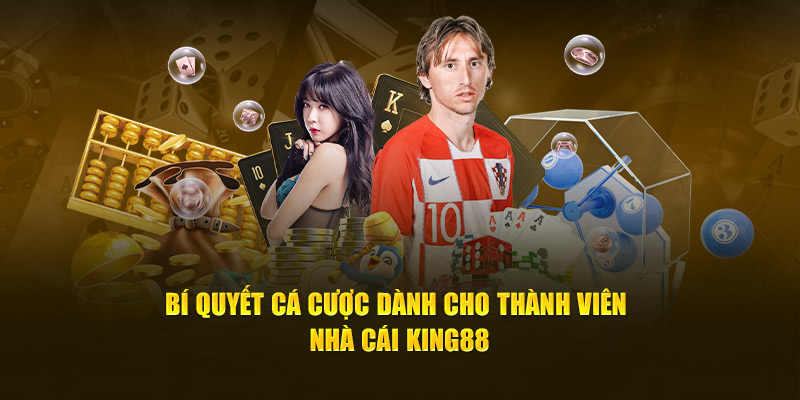 Bí quyết cá cược dành cho thành viên nhà cái King88