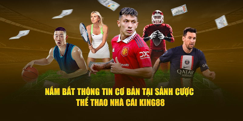 Nắm bắt thông tin cơ bản tại sảnh thể thao nhà cái King88